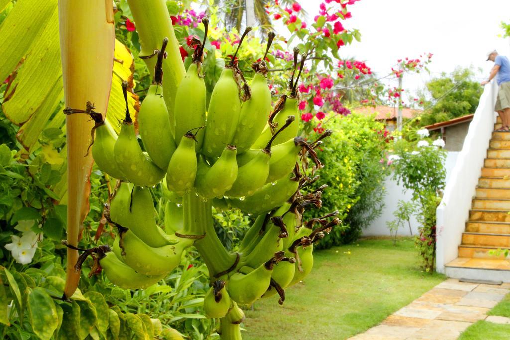 Villa Albergaria Flecheiras Luaran gambar